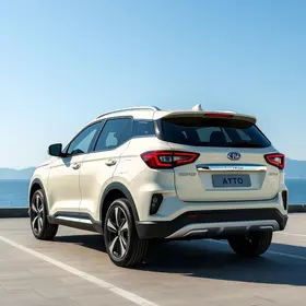 BYD Atto 2