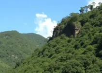 redução do IPVA em Minas