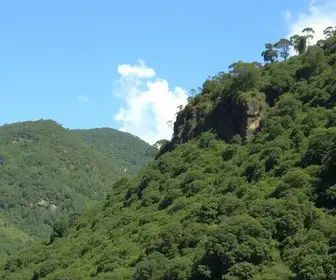 redução do IPVA em Minas