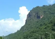 revisão de pedágios em Minas Gerais