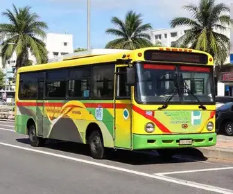 direitos da pessoa idosa na mobilidade em Fortaleza