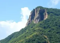redução do IPVA