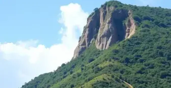 redução do IPVA