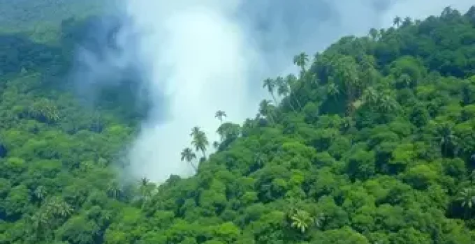 queimadas ilegais