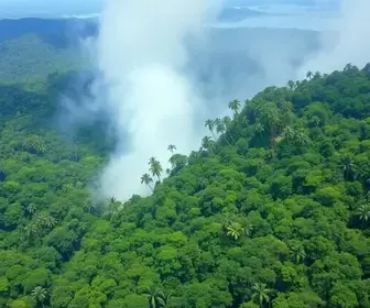 queimadas ilegais