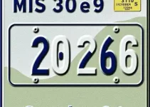 licenciamento 2026 MS