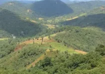 licenciamento ambiental