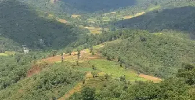 licenciamento ambiental