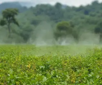 combate a agrotóxicos