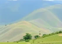 vagas de emprego em Itapetininga