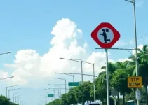responsabilidade do alienante