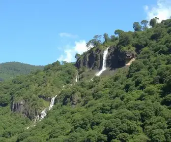 redução do IPVA